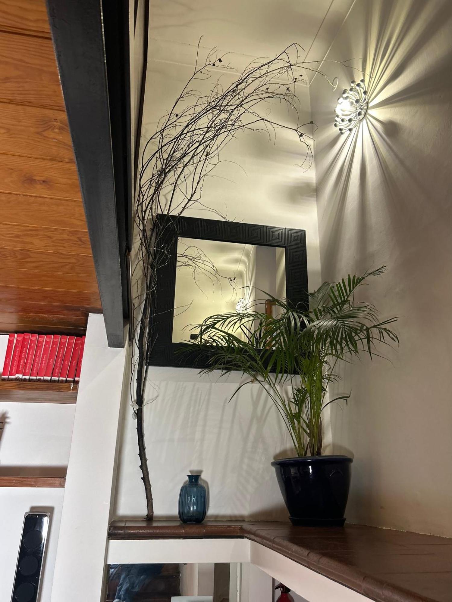 Garden House Trastevere Rzym Zewnętrze zdjęcie